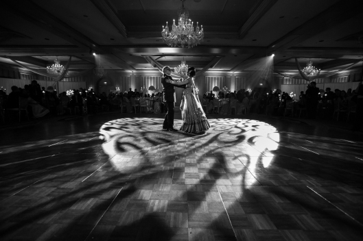 Niharika and Aman Wedding Photography Michigan